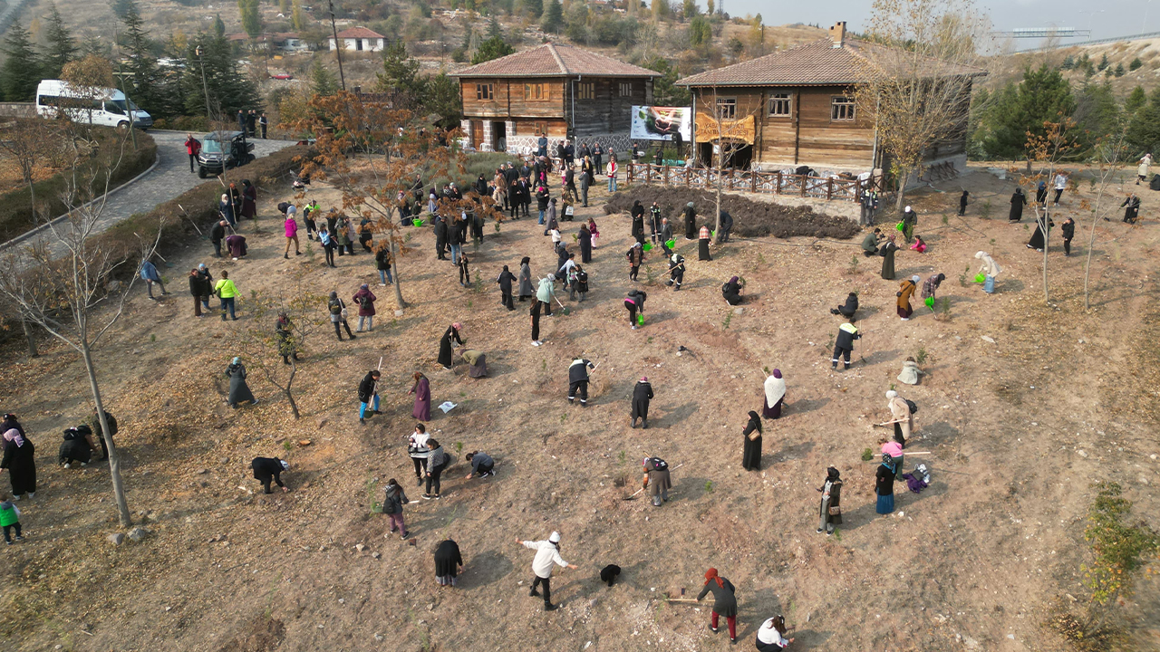 Altındağ’da Ağaç Dikme Seferberliği