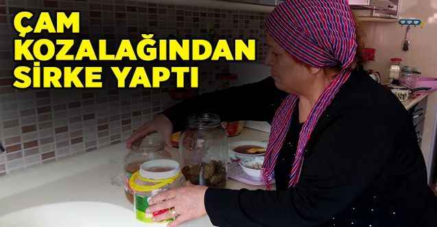 Çam kozalağı sirkesi yaptı