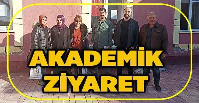Akademik ziyaret