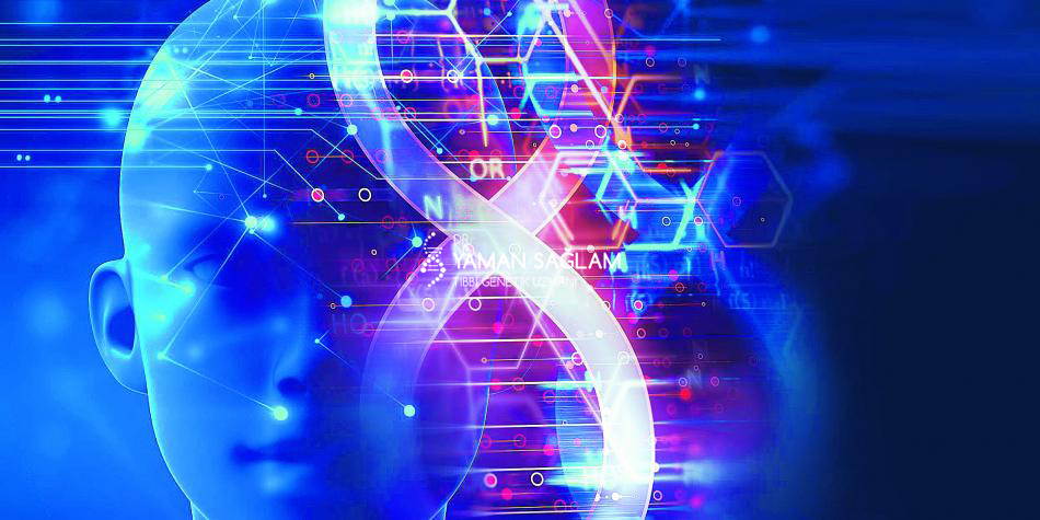 Rekombinant Dna Teknolojisi Nedir