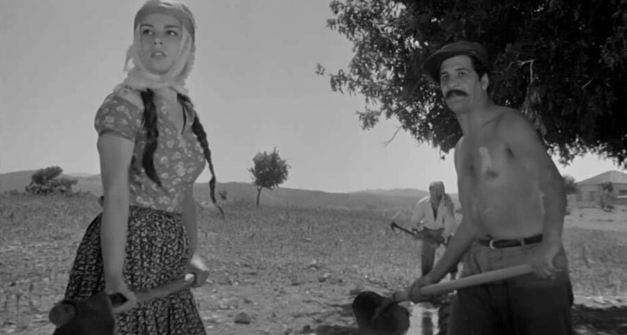 Susuz Yaz Neden Yasaklandı?