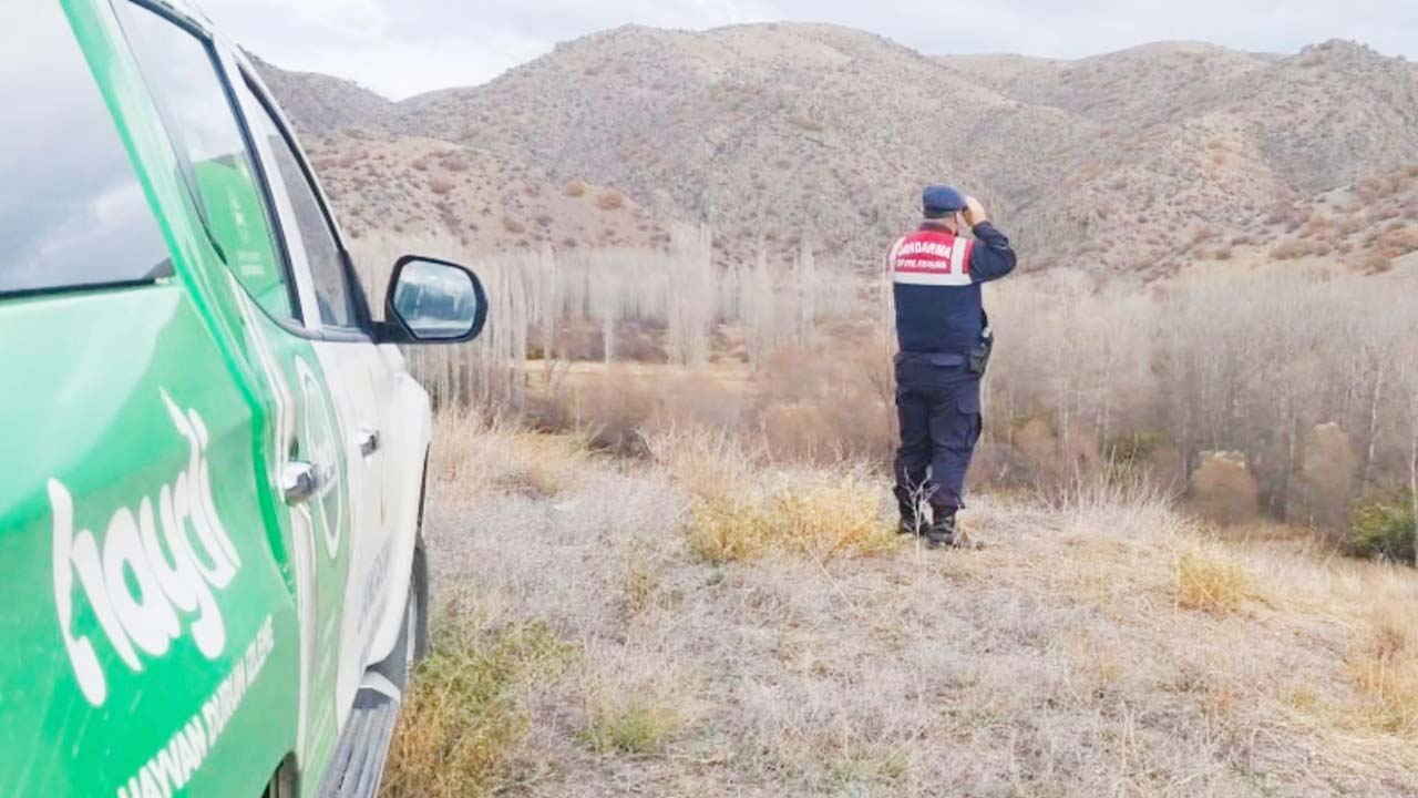Yozgat’ta HAYDİ Ekiplerinden Yaban Hayatına Destek!