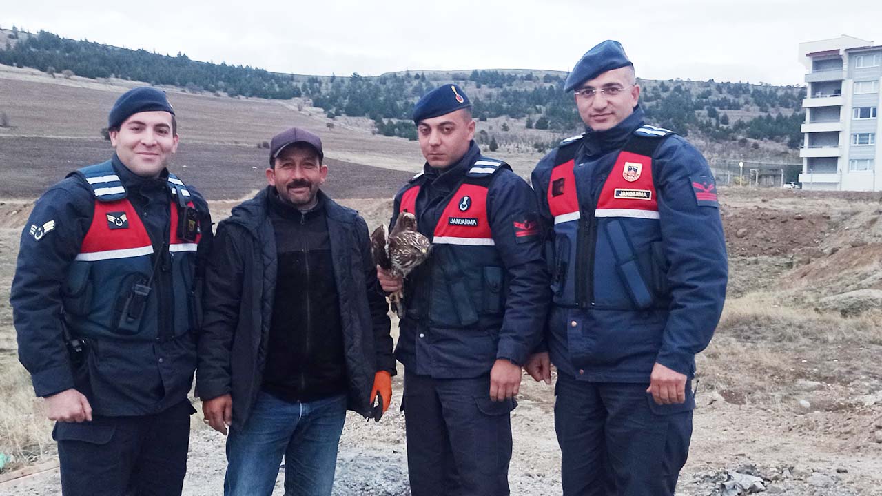 Yozgat’ta Yaralı Bulundu! Tedavi Altına Alındı!