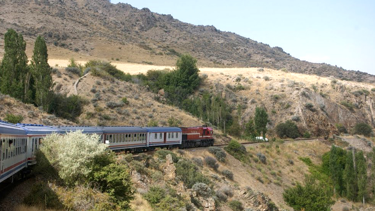 Şimdi tam zamanı; Yozgat'ta da yetişen cennet hurması vücudu temizliyor