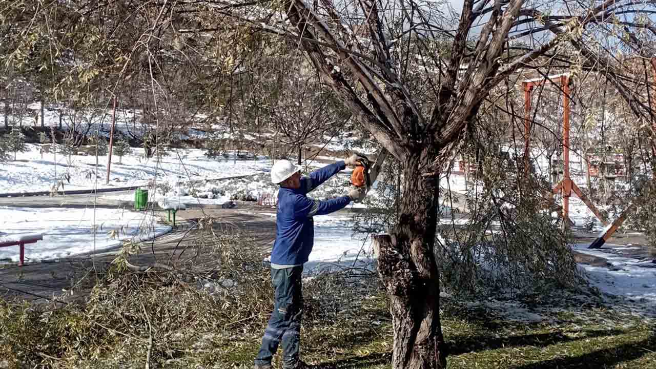 Mamak’ta Ağaçlar Kış Bakımına Alındı