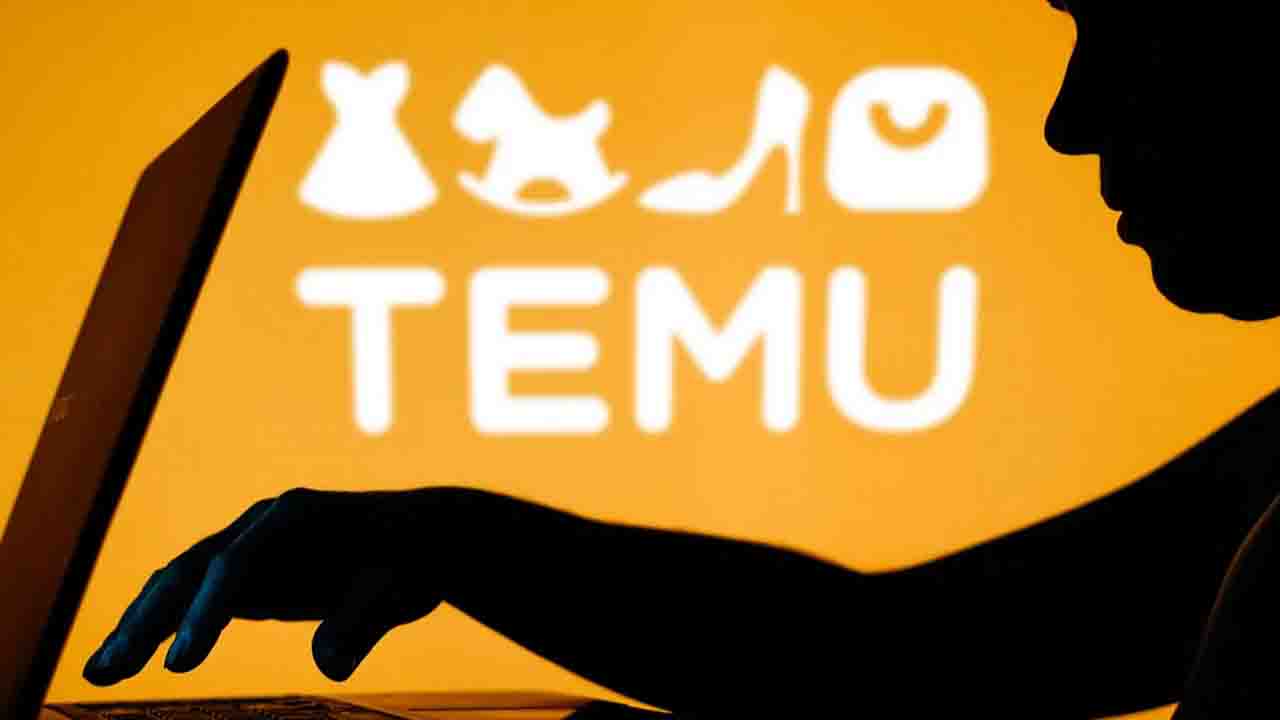 Temu Gümrük Vergisi Ne Kadar? 2024 Verileri