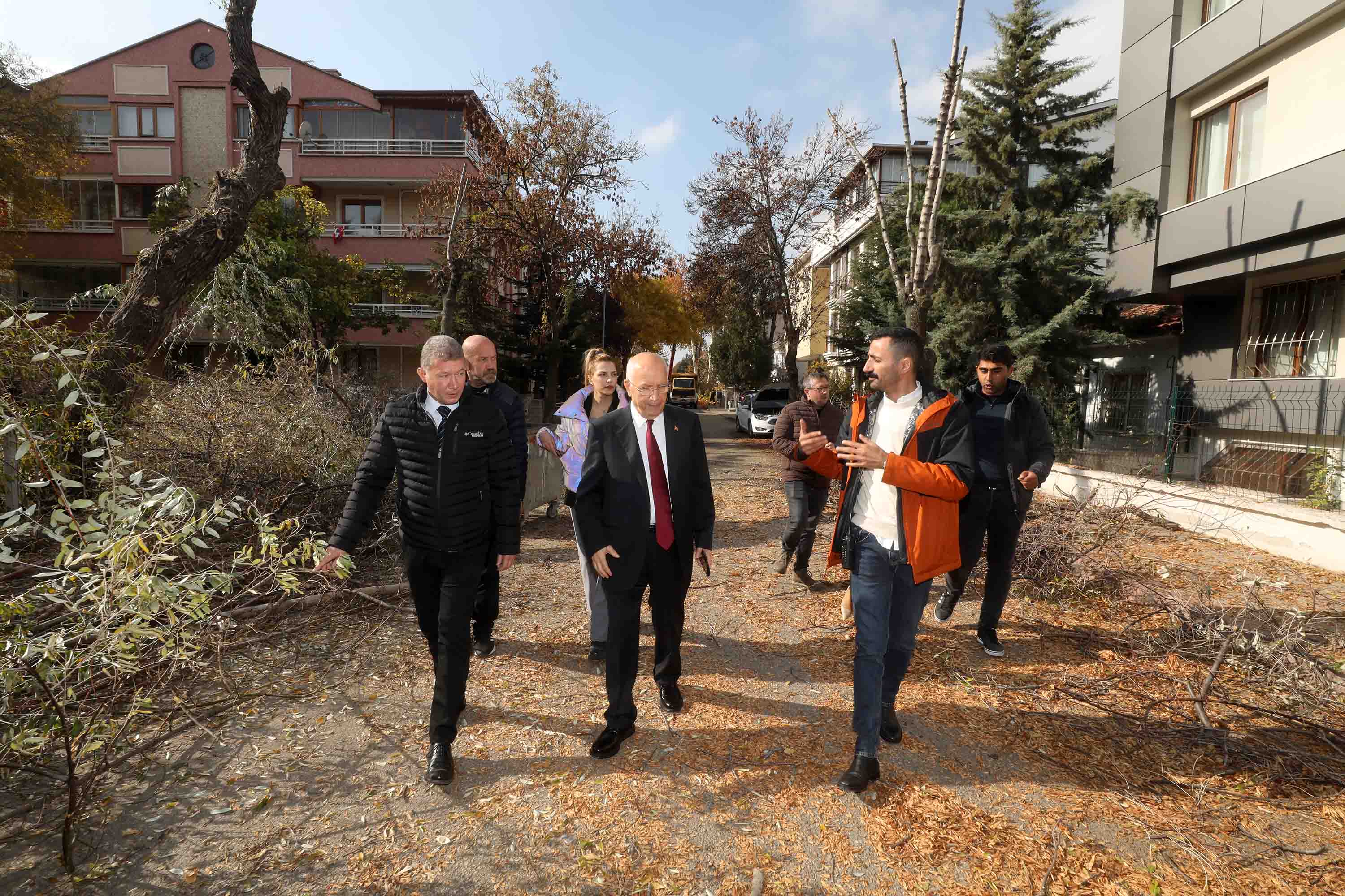 Yenimahalle'de Ağaçlar Yakıta Dönüşüyor