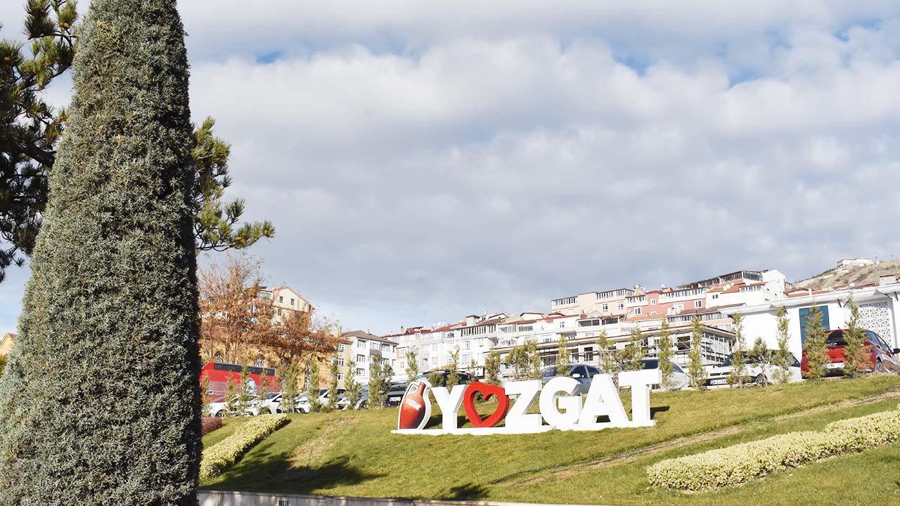 Yozgat meydanında yeşil sanat! Bir gören bir daha bakıyor…