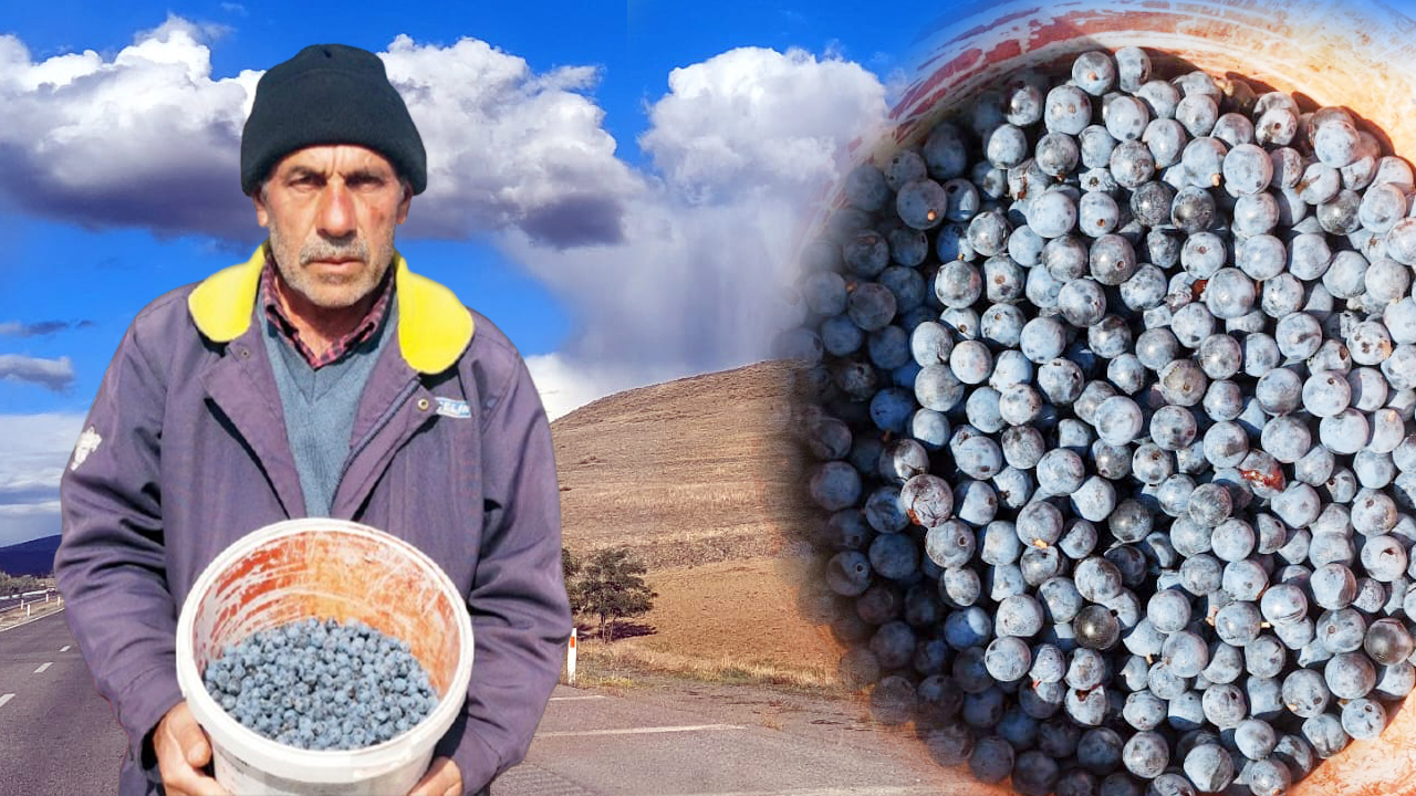 Yozgat’ın Şifa Deposu meyveleri: Dağların doğal ilacı!