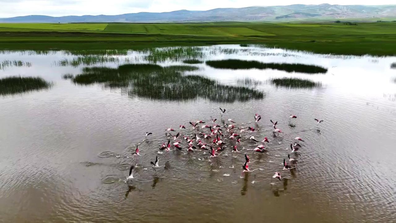 Yozgat’ta Doğanın Muhafızı Olma Mücadelesi: Eşsiz Güzelliklerin Korunması İçin Verilen Hayati Çabalar!