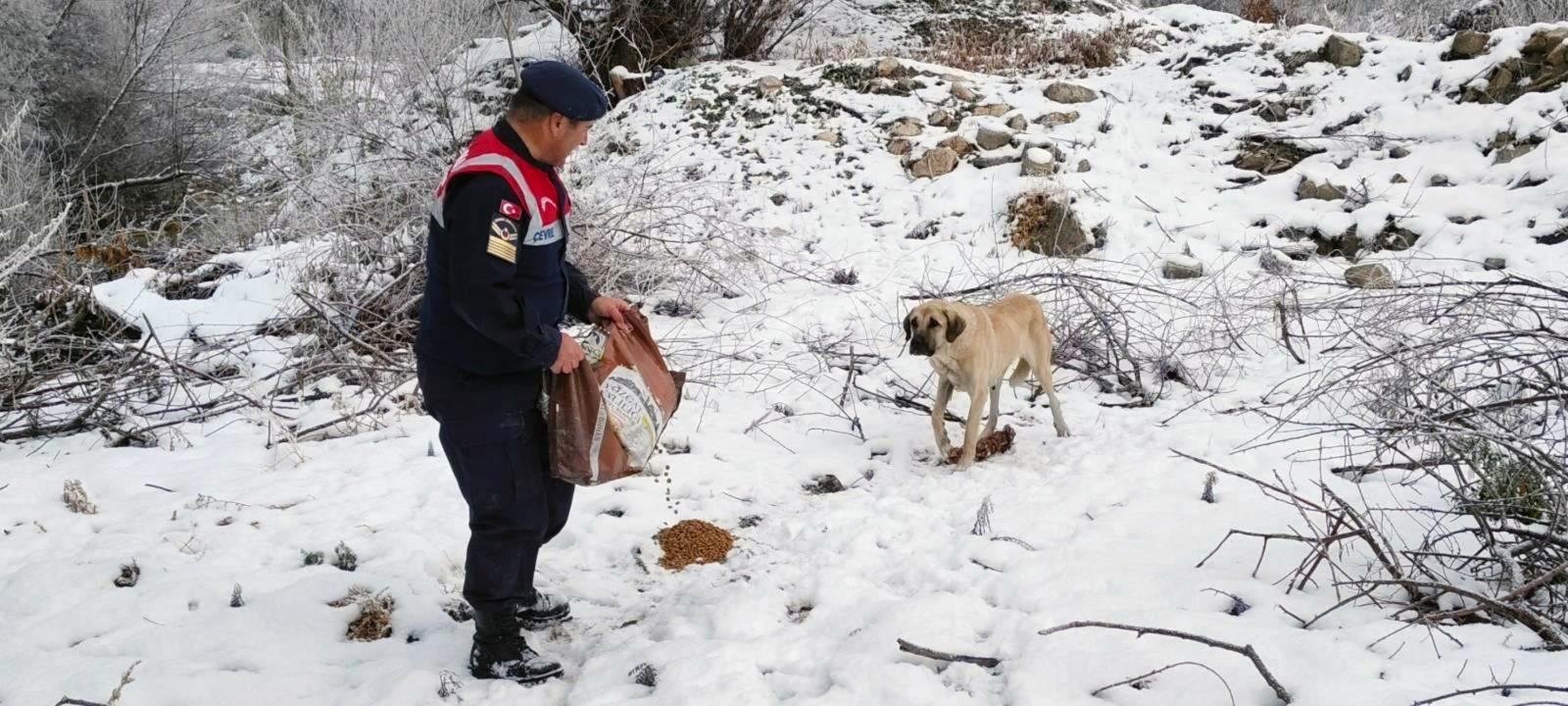 Yozgat Jandarması yaban ve sokak hayvanlarını unutmuyor