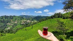 Türkiye'de Çay Tüketimi Azaldı!