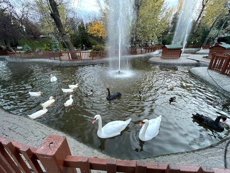 Başkentin Simgesi Kuğulu Park Yılbaşına Hazır