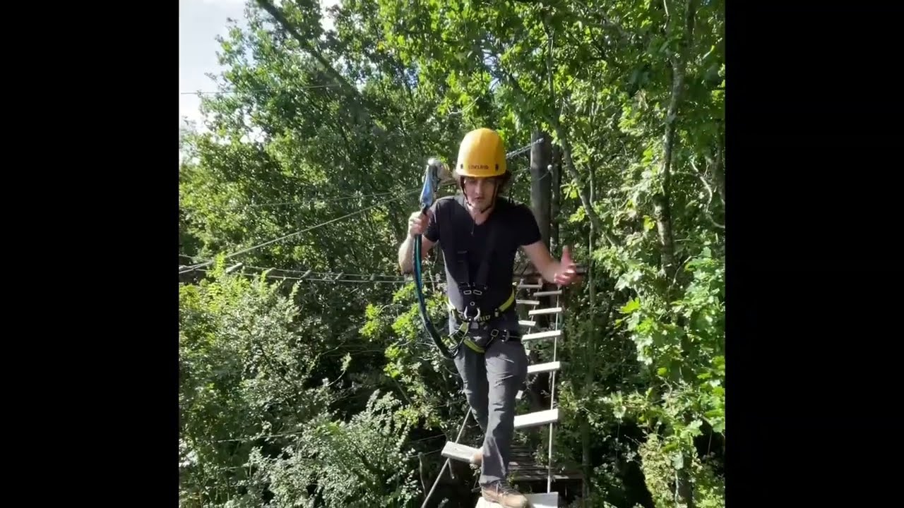 Climb A Tree Ne Demek?