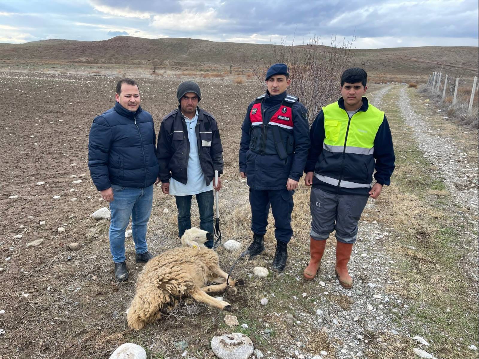 Yozgat'ta Jandarma Kayıp Küçükbaş Hayvanı sahibine teslim etti