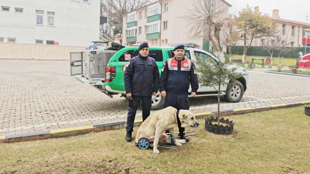 Yozgat’ta Jandarma’dan Örnek Davranış!