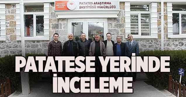 Patatese yerinde inceleme