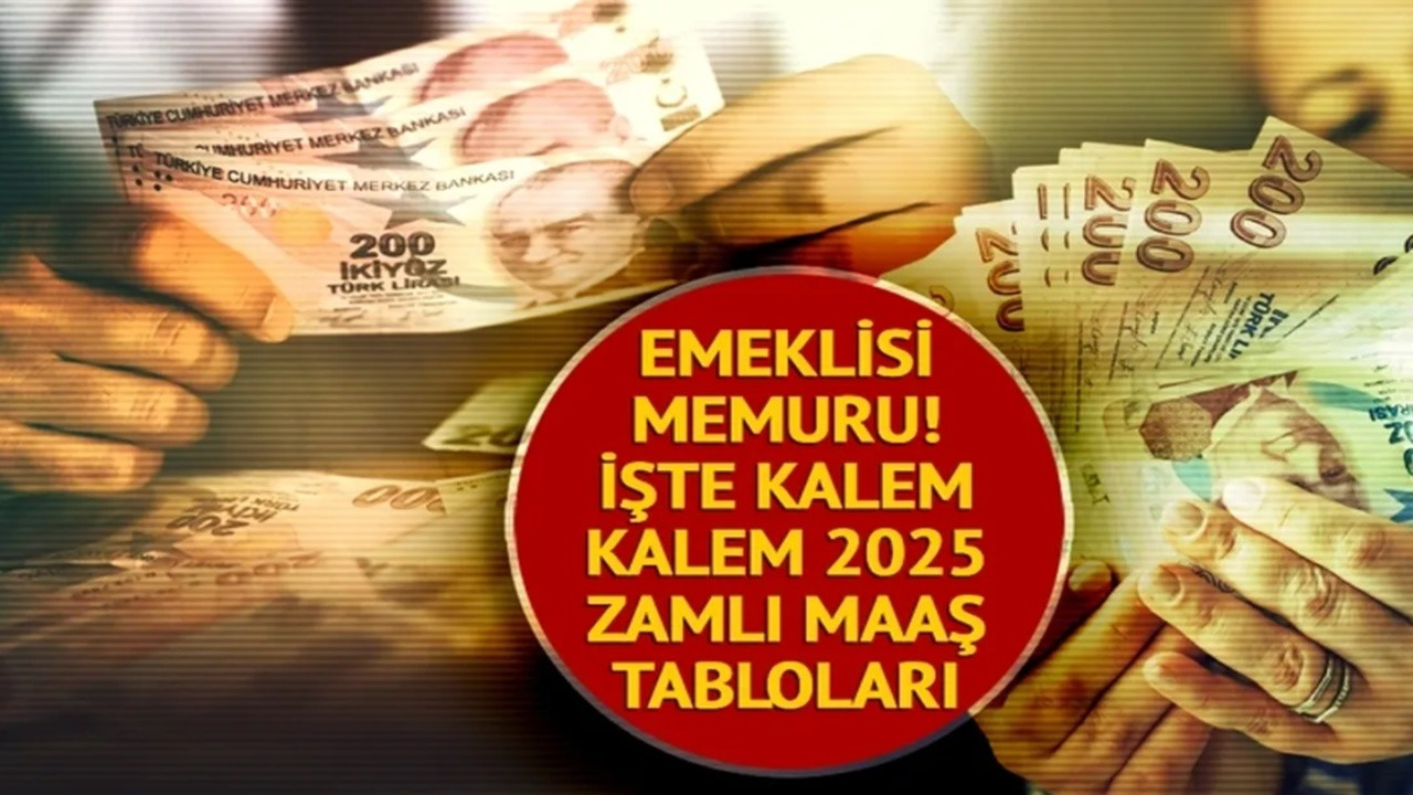 İşte Zamlı Memur Maaşları! Kim Ne Kadar Maaş Alacak? (Öğretmen, Polis, Doktor, Memur)