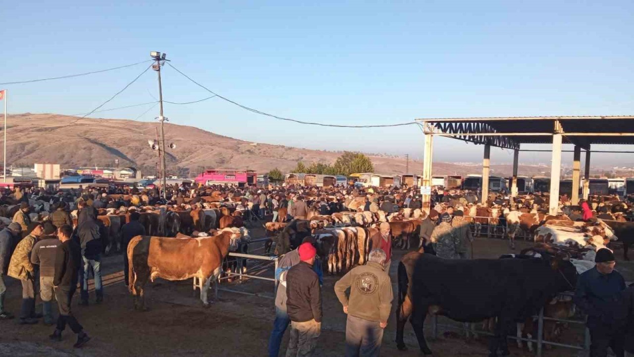 Yozgat’ta üç ilçede hayvan pazarları geçici olarak kapatıldı