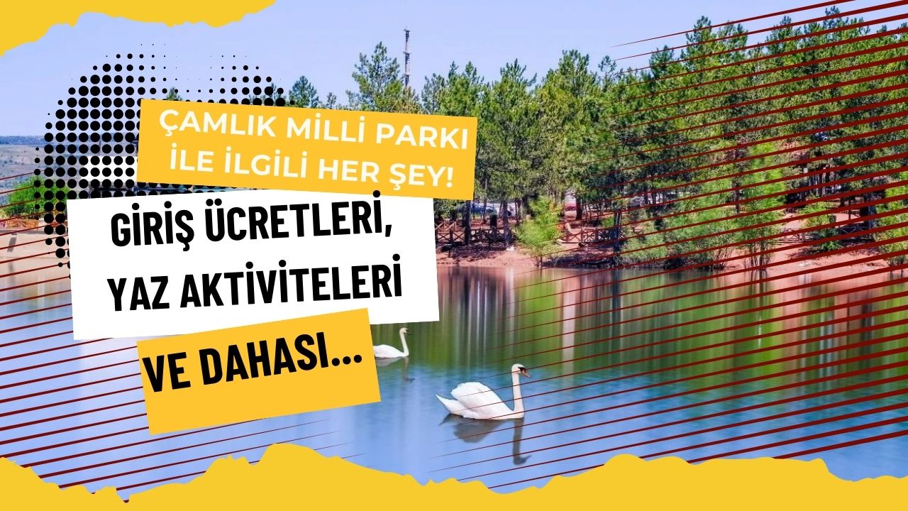 Çamlık Milli Parkı İle İlgili Her Şey! Tarihi, Giriş Ücretleri, Yaz Aktiviteleri ve Dahası...