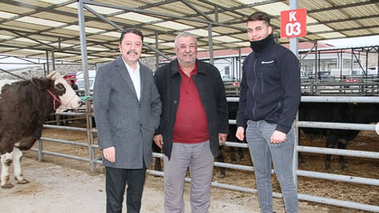 Beypazarı Canlı Hayvan pazarında hareketlilik