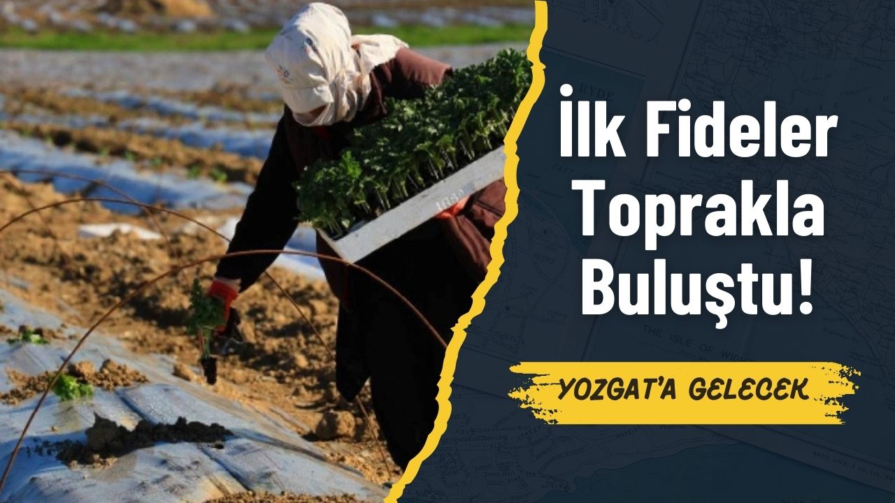 Yozgat'ta Yaz Aylarının Vazgeçilmezi! İlk Fideler Toprakla Buluştu, Mayıs'ta Hasat Edilecek!