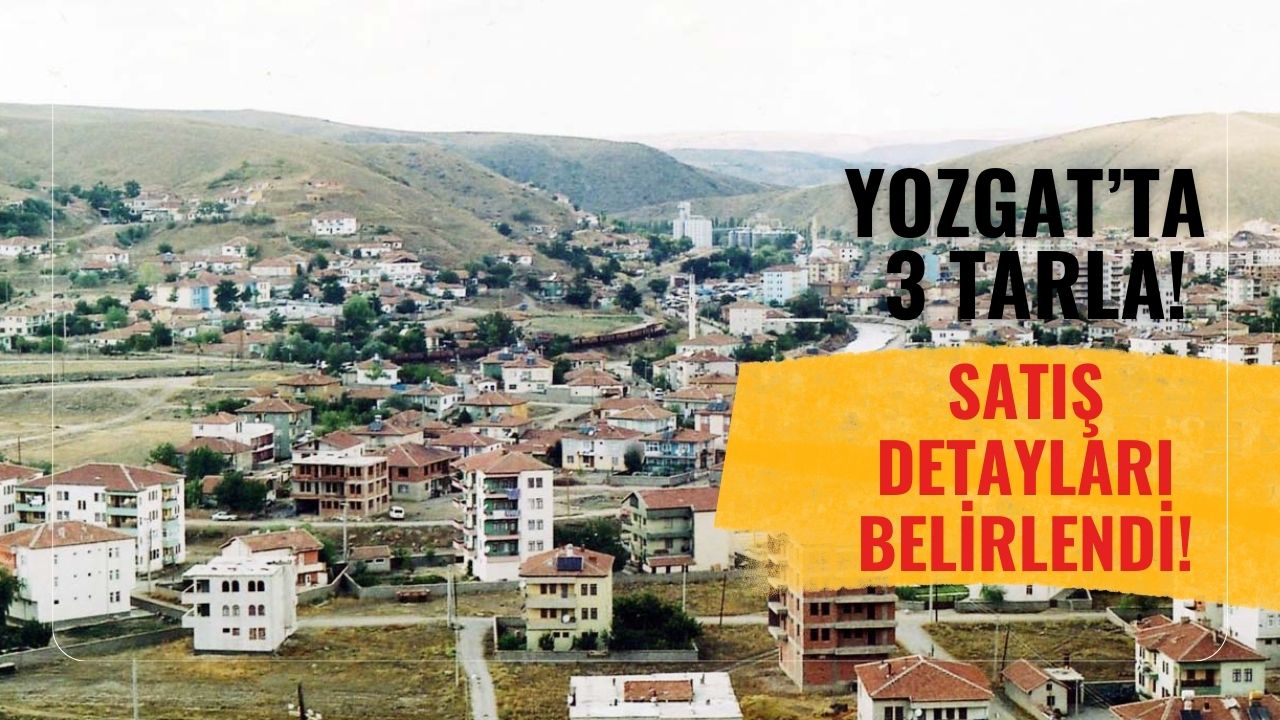 Yozgat’ta 3 Farklı Tarla İçin Satış Duyurusu!
