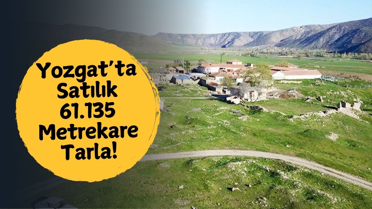 Yozgat’ta Mahkemeden Satılık Dev Tarla!