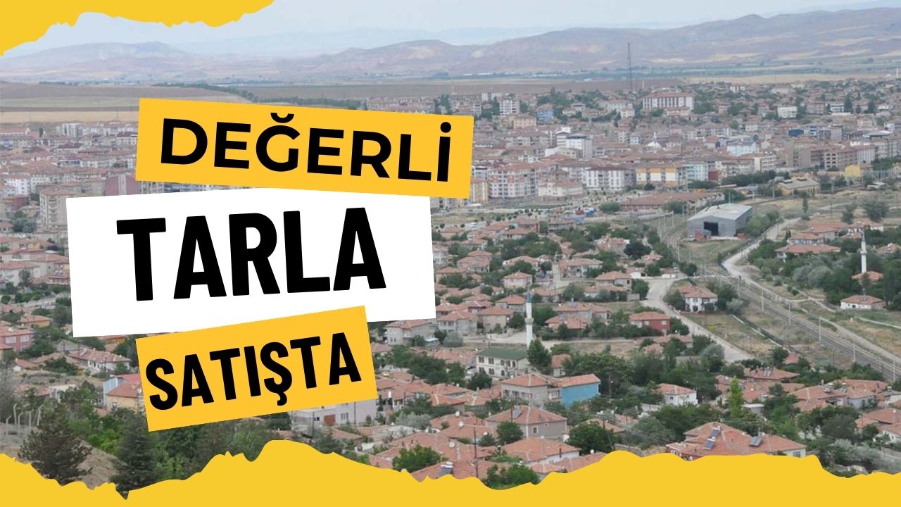 Yerköy’de 7.456 Metrekare Tarla Mahkeme Kararıyla Satılığa Çıkarıldı!