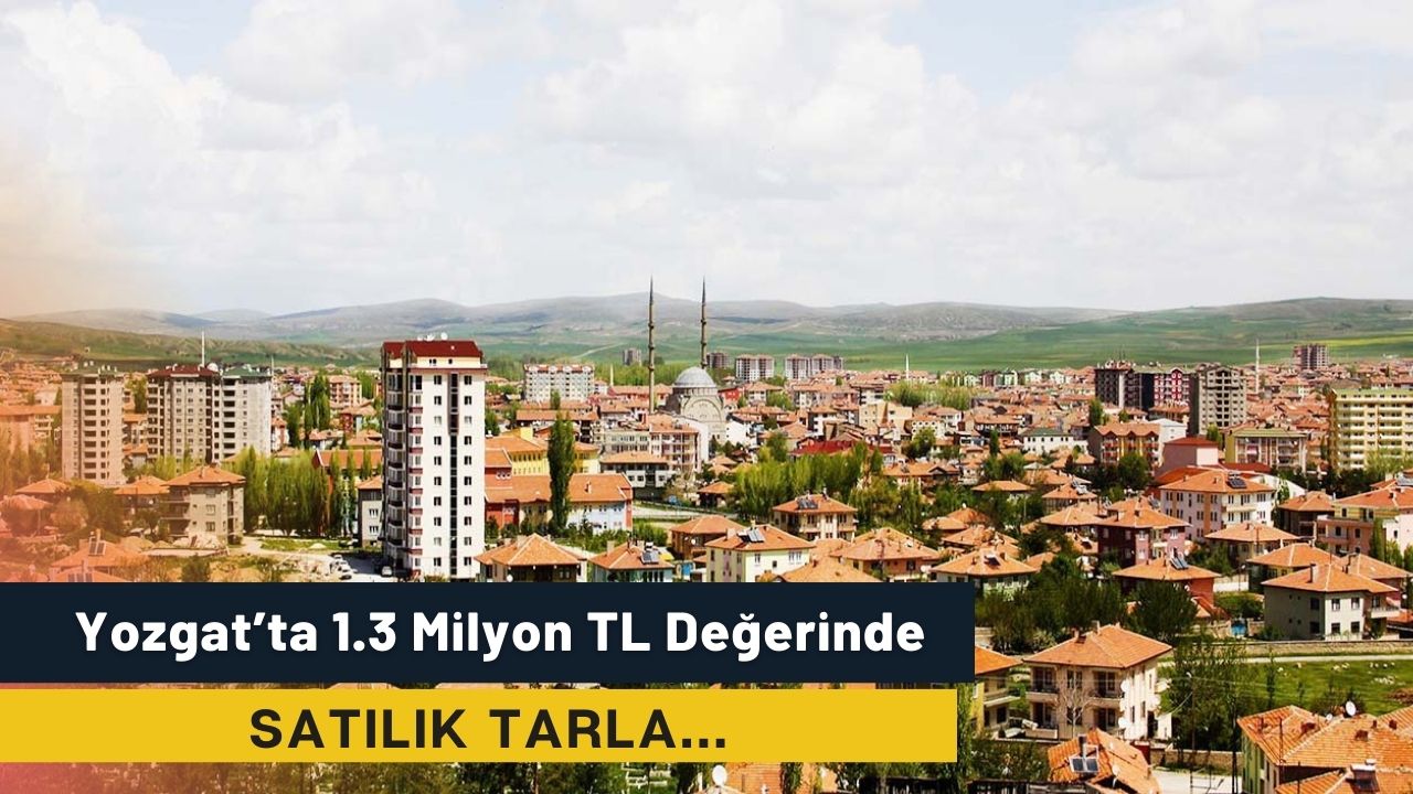 Yozgat Sorgun’da Satılık Tarla!