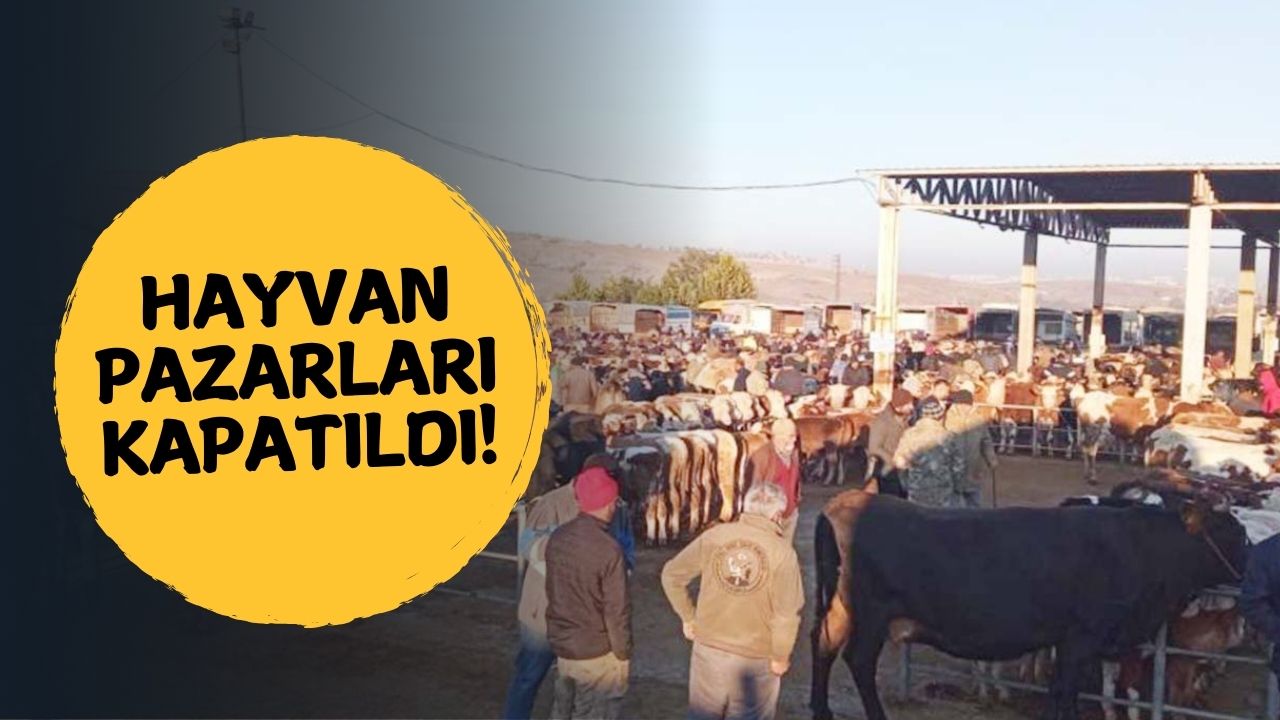 Yozgat'ın Üç İlçesinde Hayvan Pazarları Kapatıldı!