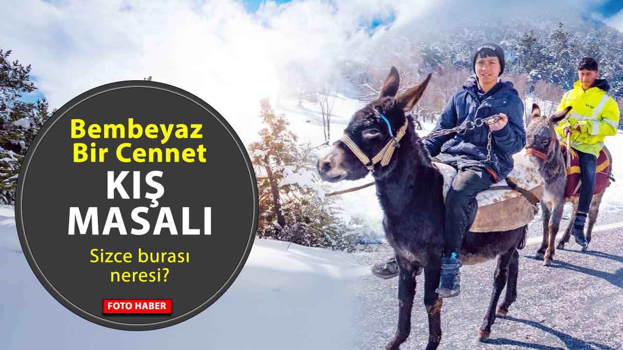Bembeyaz Bir Cennet: Akdağmadeni’nde Kış Masalı!