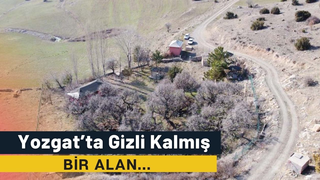 Yozgat'ın 2 Bin 600 Yıllık Karadut Ağaçları Ziyaretçilerini Büyülüyor!