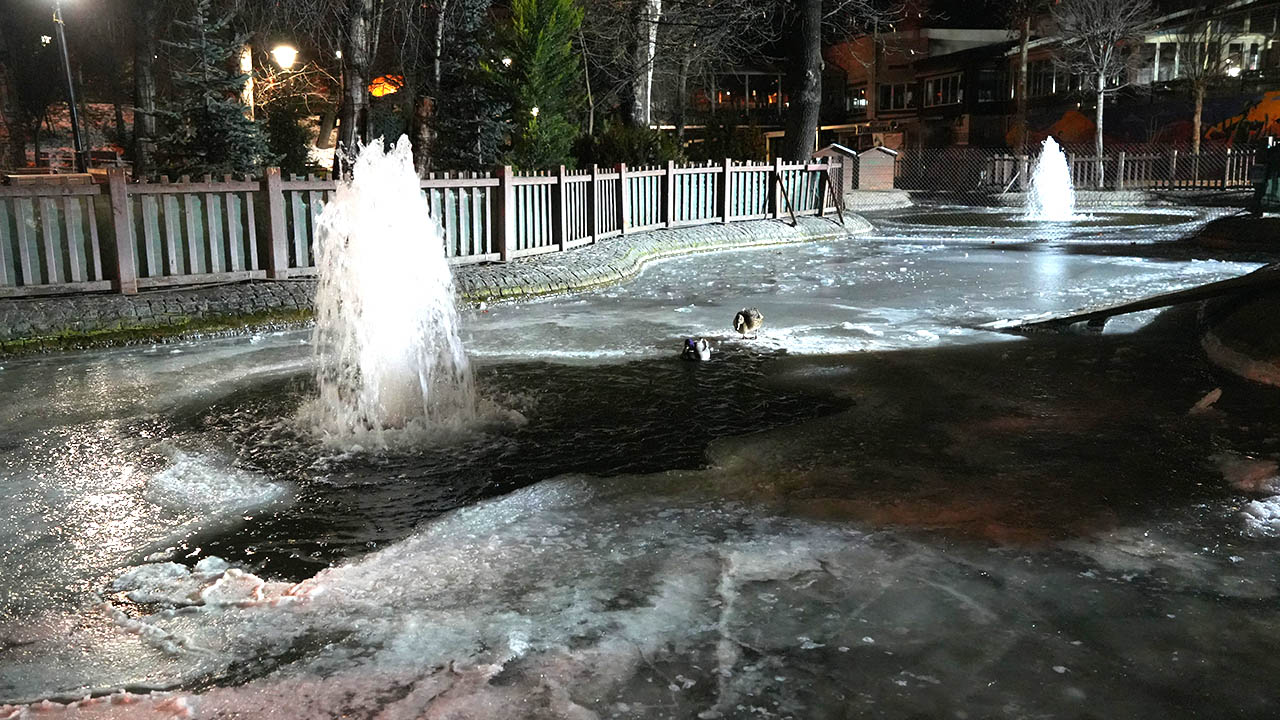 Kuğulu Park'ın Havuzu Dondu