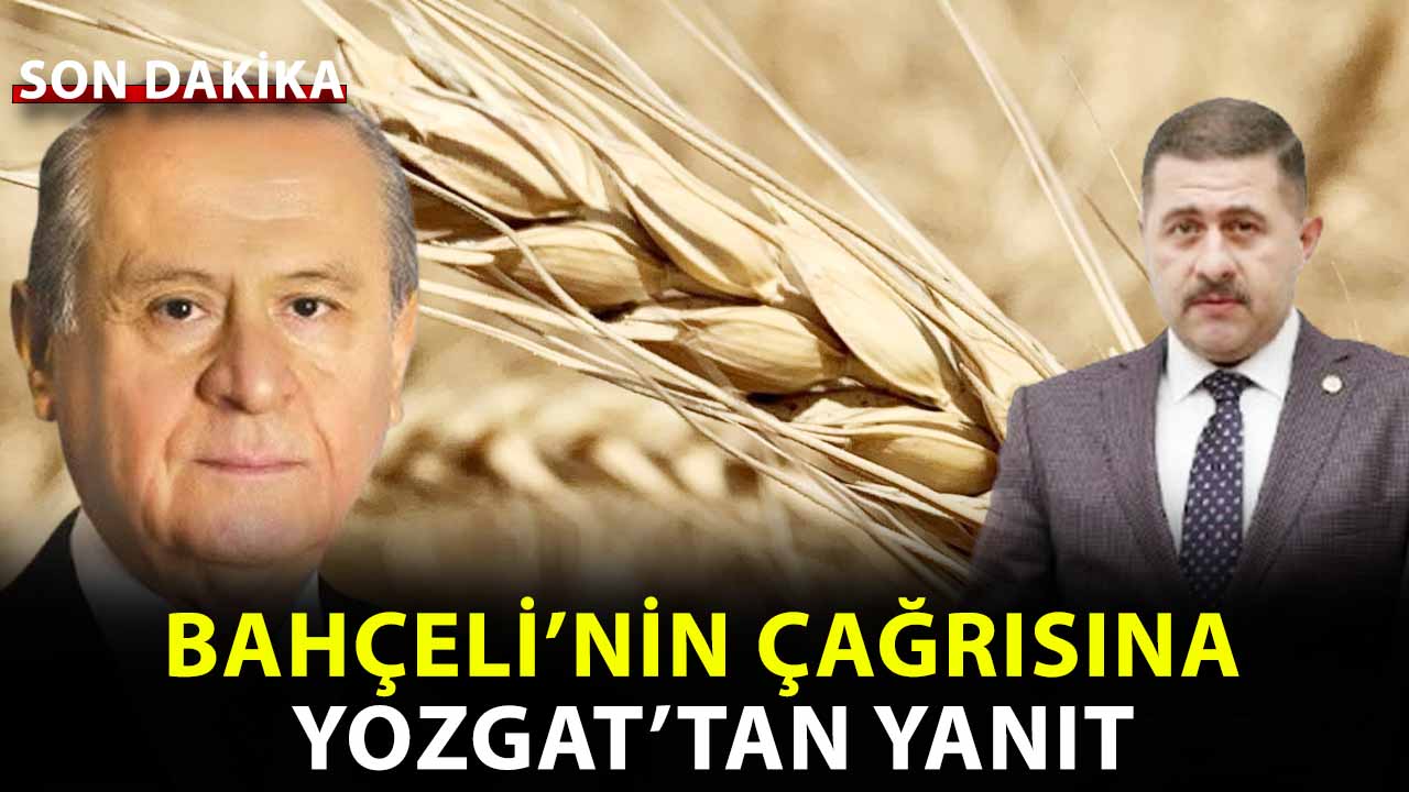 MHP Yozgat Milletvekili Ethem Sedef’ten “Askıda 9 Gülek Buğday” Çağrısına Destek!