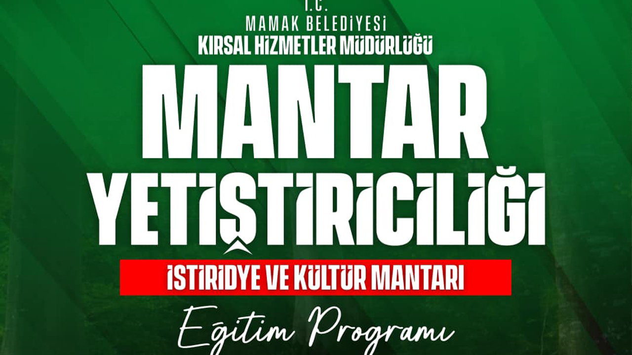 Mamak Belediyesi Mantar Yetiştiriciliği Eğitimi verecek