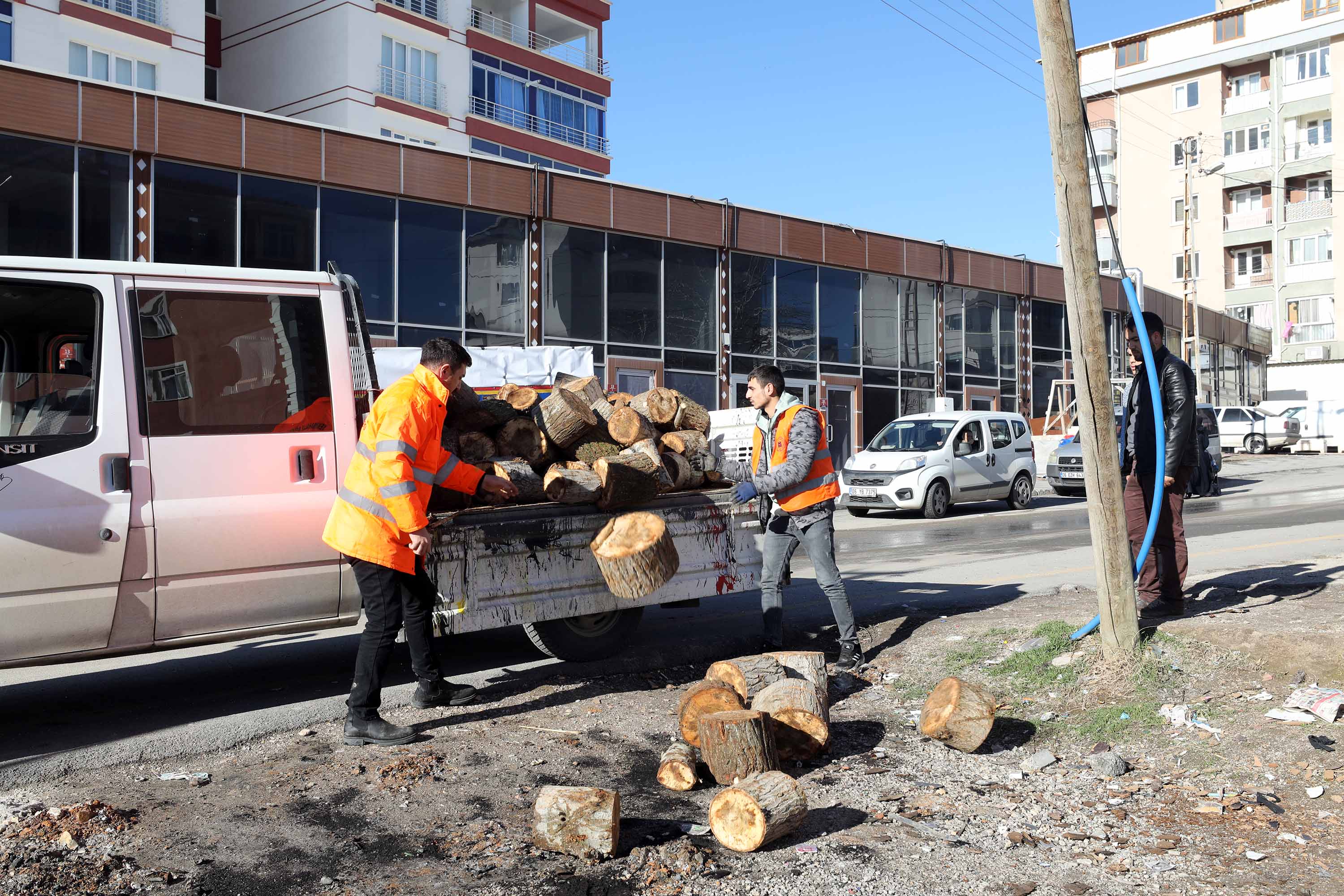 Yenimahalle'de budanan ağaçlar ihtiyaç sahiplerine veriliyor