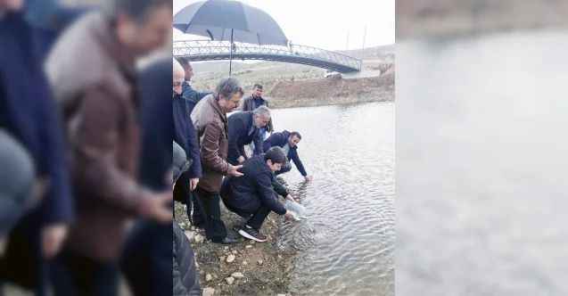 Yozgat Bozok Üniversitesi Erdoğan Akdağ Kampüsünde yer alan gölete balık bırakıldı