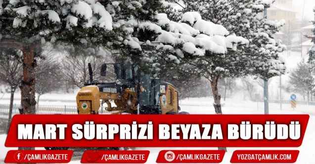 Bozok Yaylası Yozgat "Mart Sürprizi" ile Beyazlara Büründü