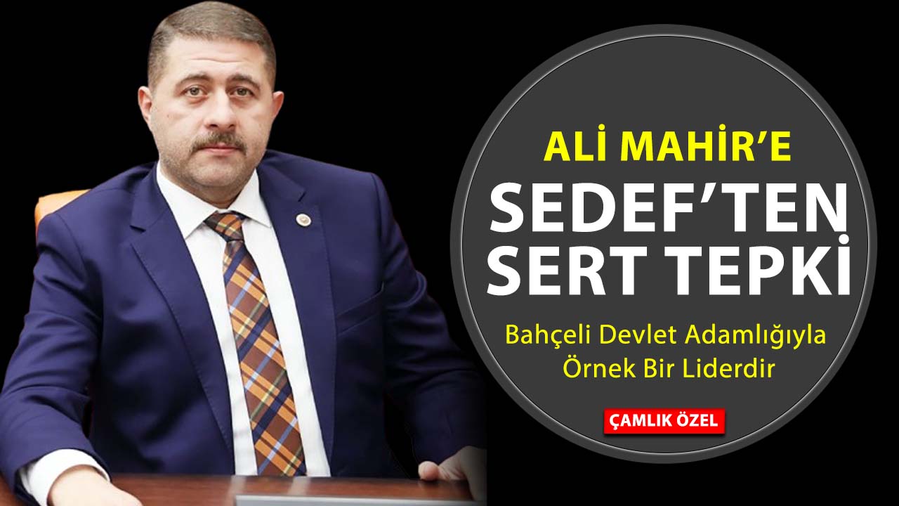 MHP'li Vekil Sedef'ten Ali Mahir Başarır’a Sert Tepki: “Türk Siyaseti Edep ve Haysiyetle Yapılmalı”