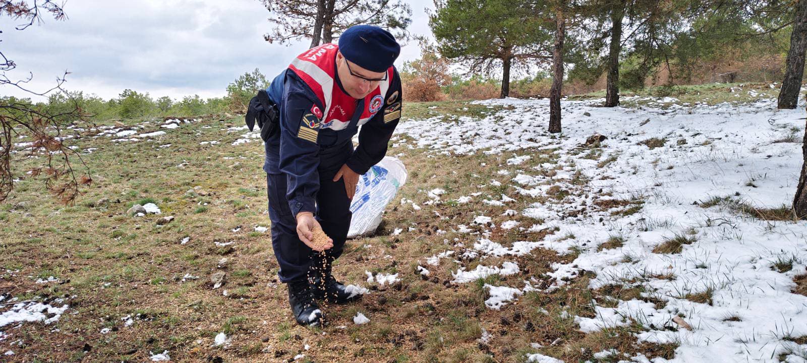 Yozgat İl Jandarma Komutanlığı Yaban Hayatı Koruyor