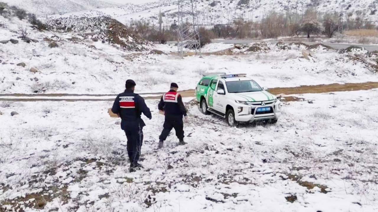 Yozgat’ta Yaban Hayvanları İçin Yem Bırakıldı!