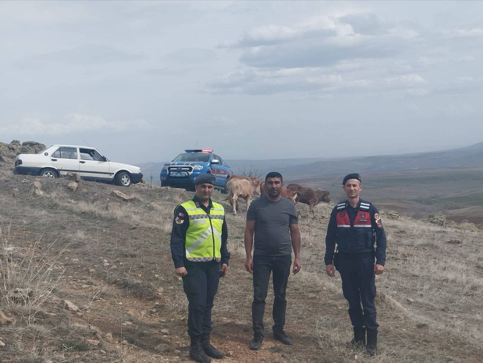 Yozgat'ta Kayıp Büyükbaş Hayvanlar Bulundu