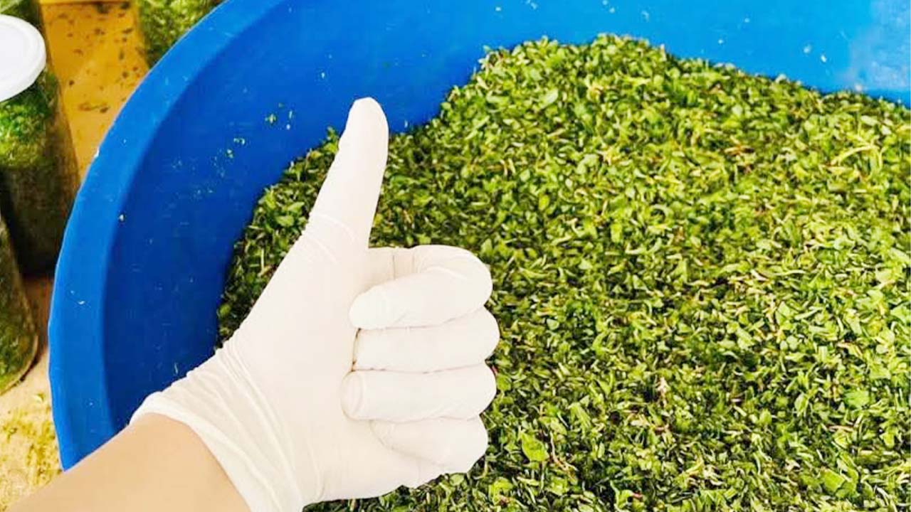 Yozgat'ın Çayıralan ilçesinde kurulan Çekoop'ta faaliyetler sürüyor