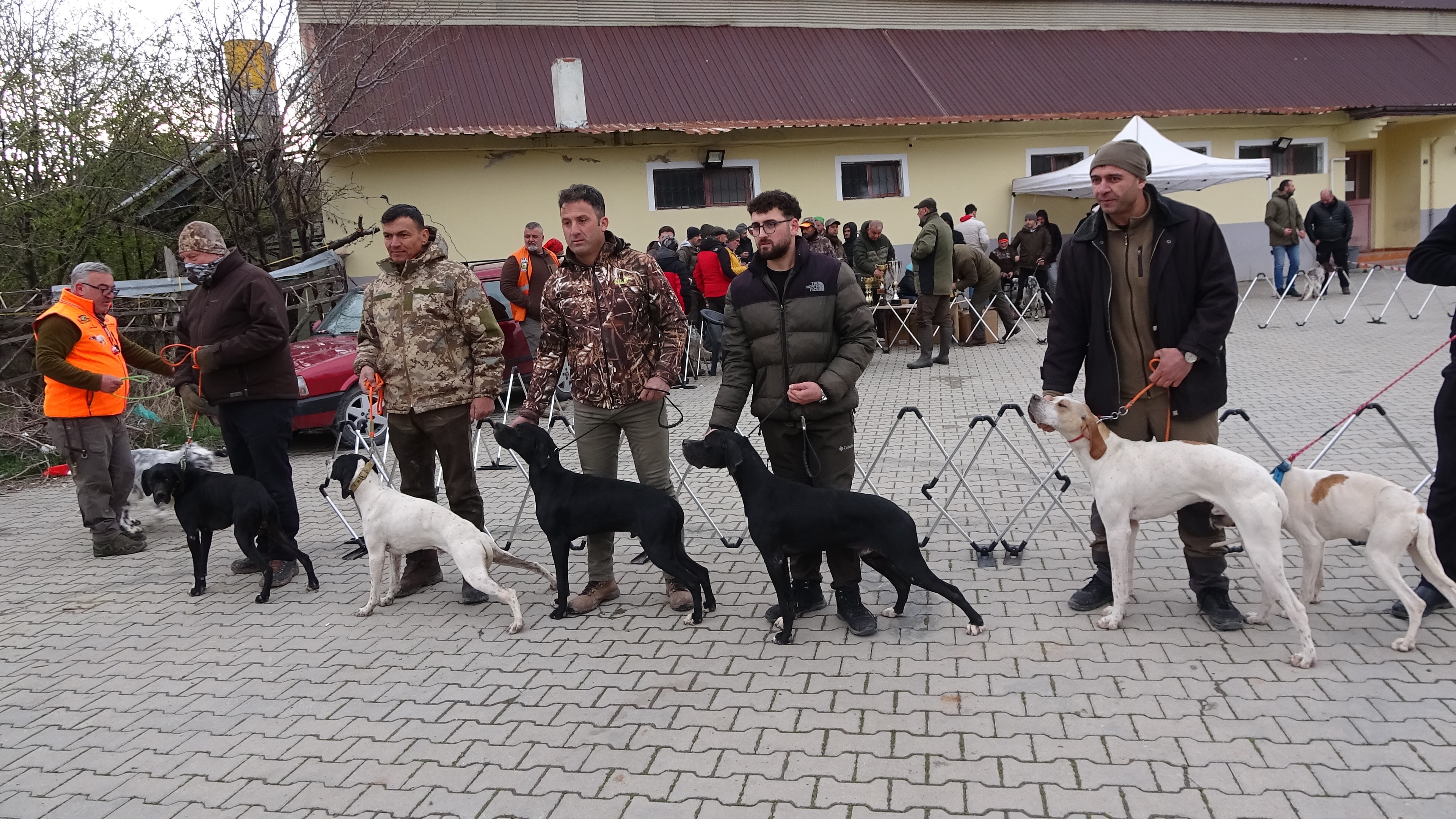 Yozgat’ta Köpekler Gözde Özellikleriyle Yarıştı