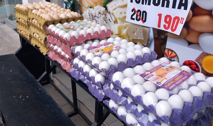 Yumurta Fiyatlarında düşüş başladı