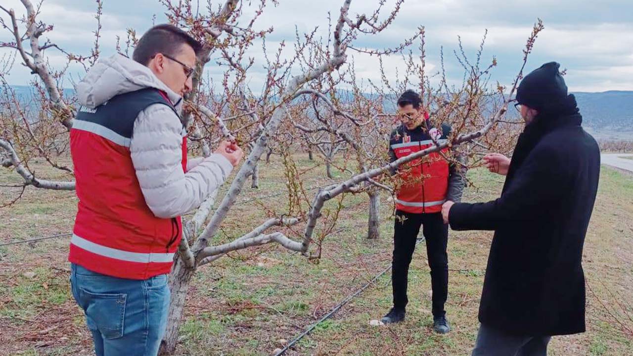 Yozgat’ta -15 Dereceye Kadar Düşen Hava Sıcaklığı Ürünleri Dondurdu!