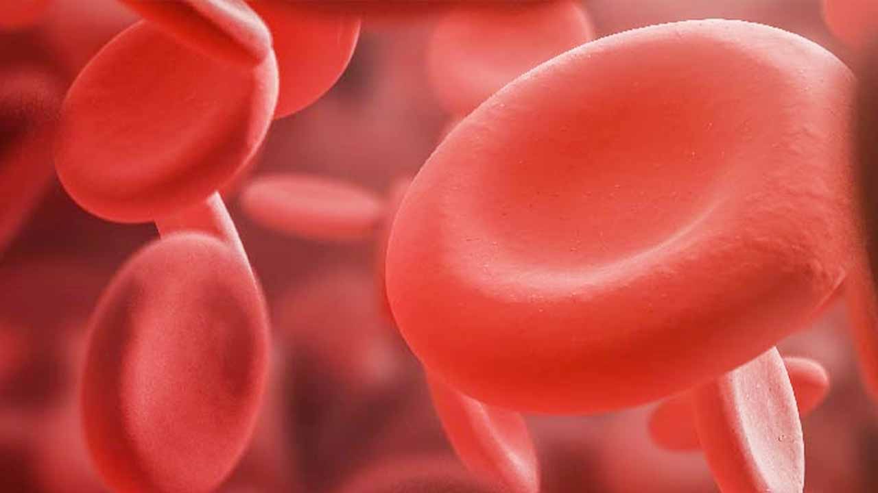 Hemofili Hastalarının Sağlıklı Bir Yaşam Sürmesi Mümkün