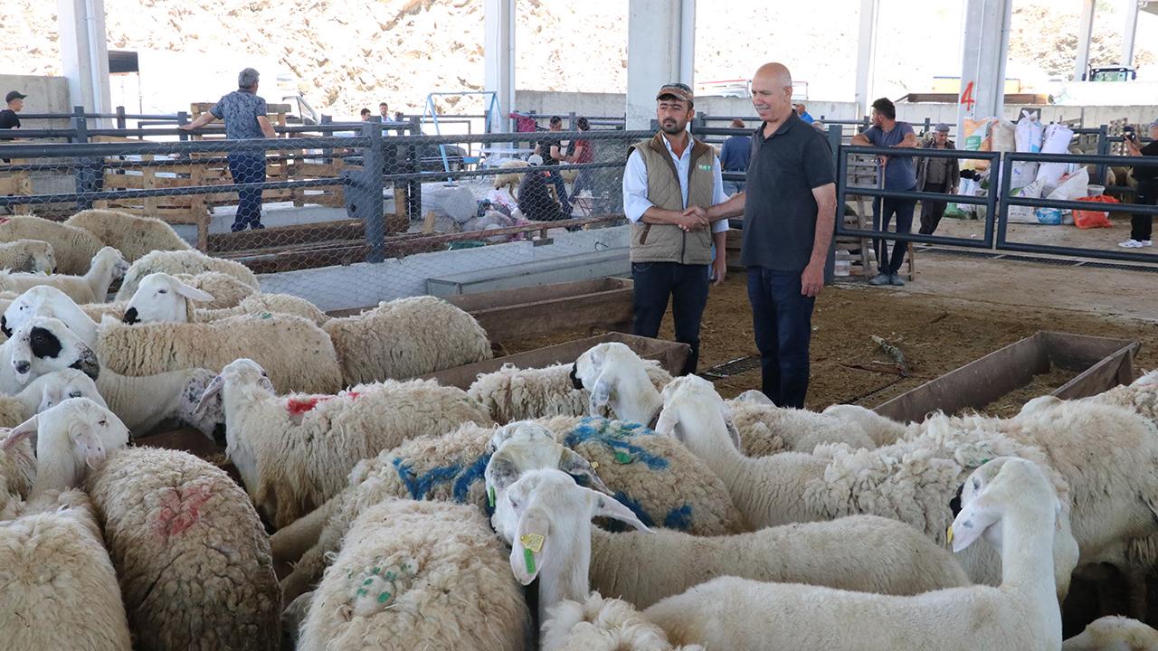 Yozgat’ta Kurbanlık Fiyatları Belli oldu