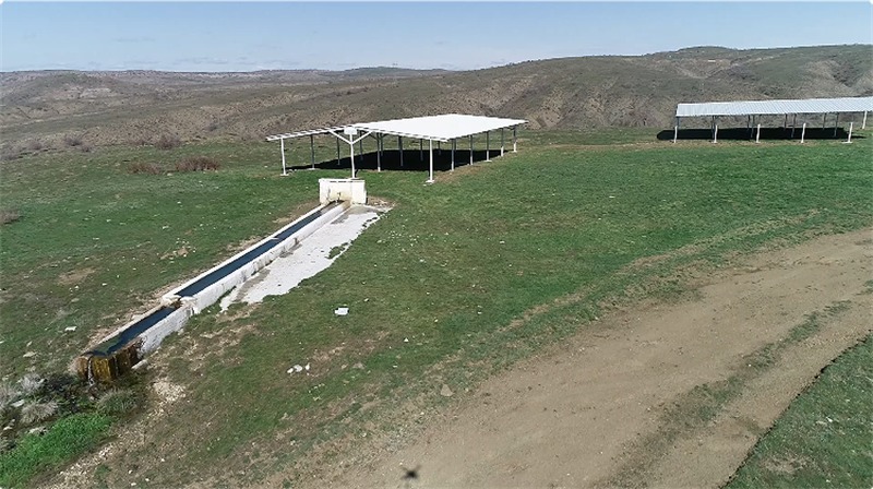 Yozgat’ta TULIP Projesi ile Kırsalda Hayvancılık Destekleniyor